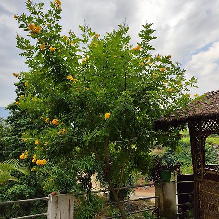Nature Villa Rishikesh Bagian luar foto