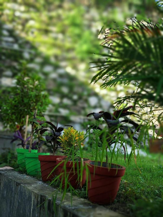 Nature Villa Rishikesh Bagian luar foto