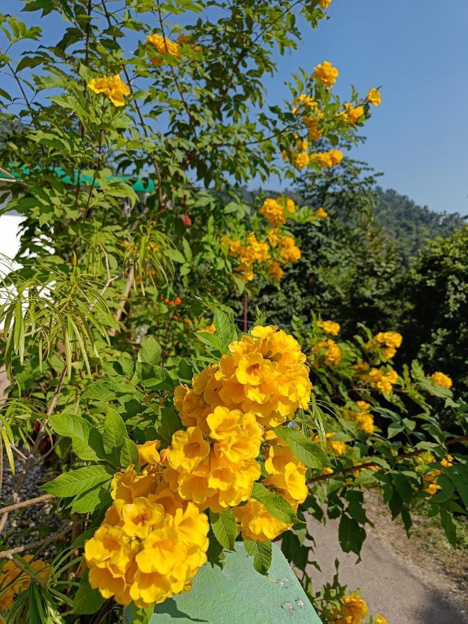 Nature Villa Rishikesh Bagian luar foto