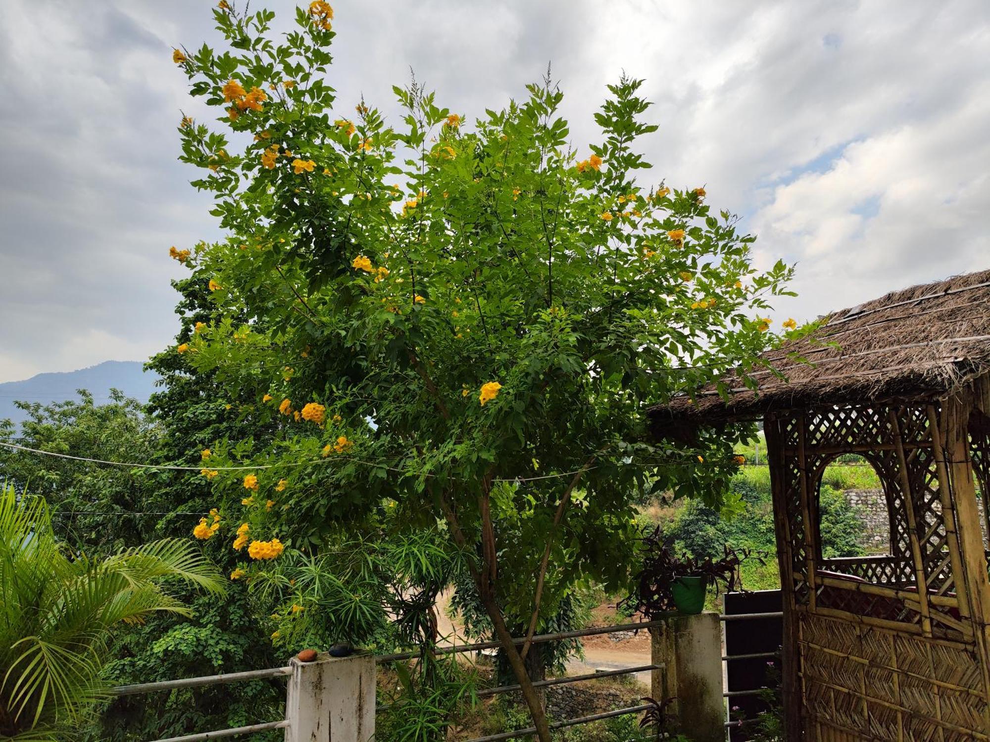 Nature Villa Rishikesh Bagian luar foto
